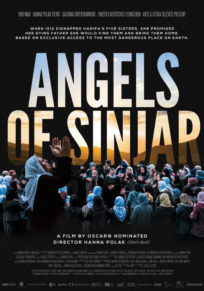 Angels of Sinjar película Ver online en español